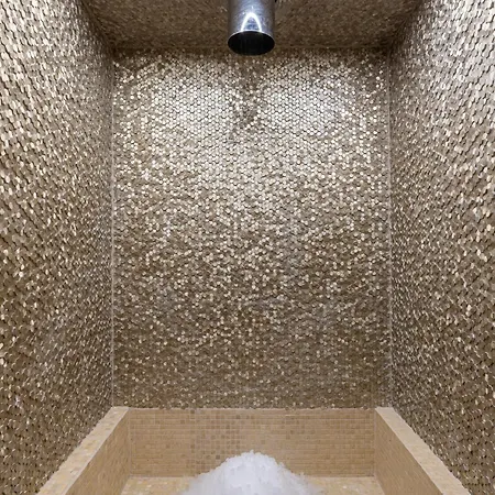 Premier Dnister 4* Lemberg