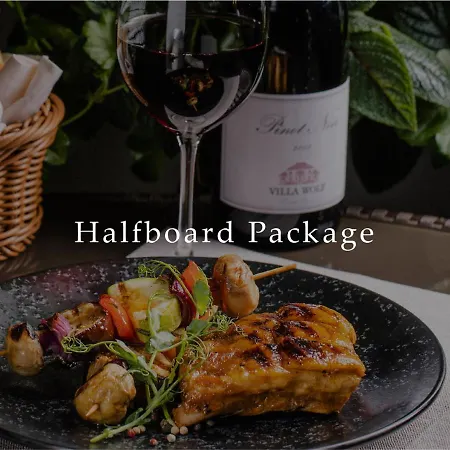 호텔 Premier Dnister